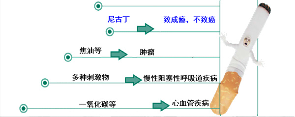 微信圖片_20241126171200.jpg